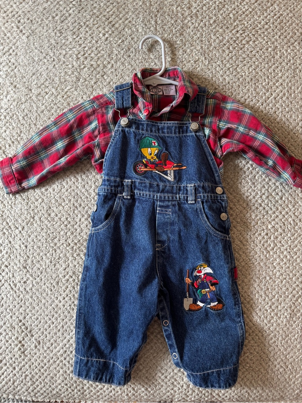 Vintage 1990s Looney Tunes Embroidered Overalls and Flannel Shirt